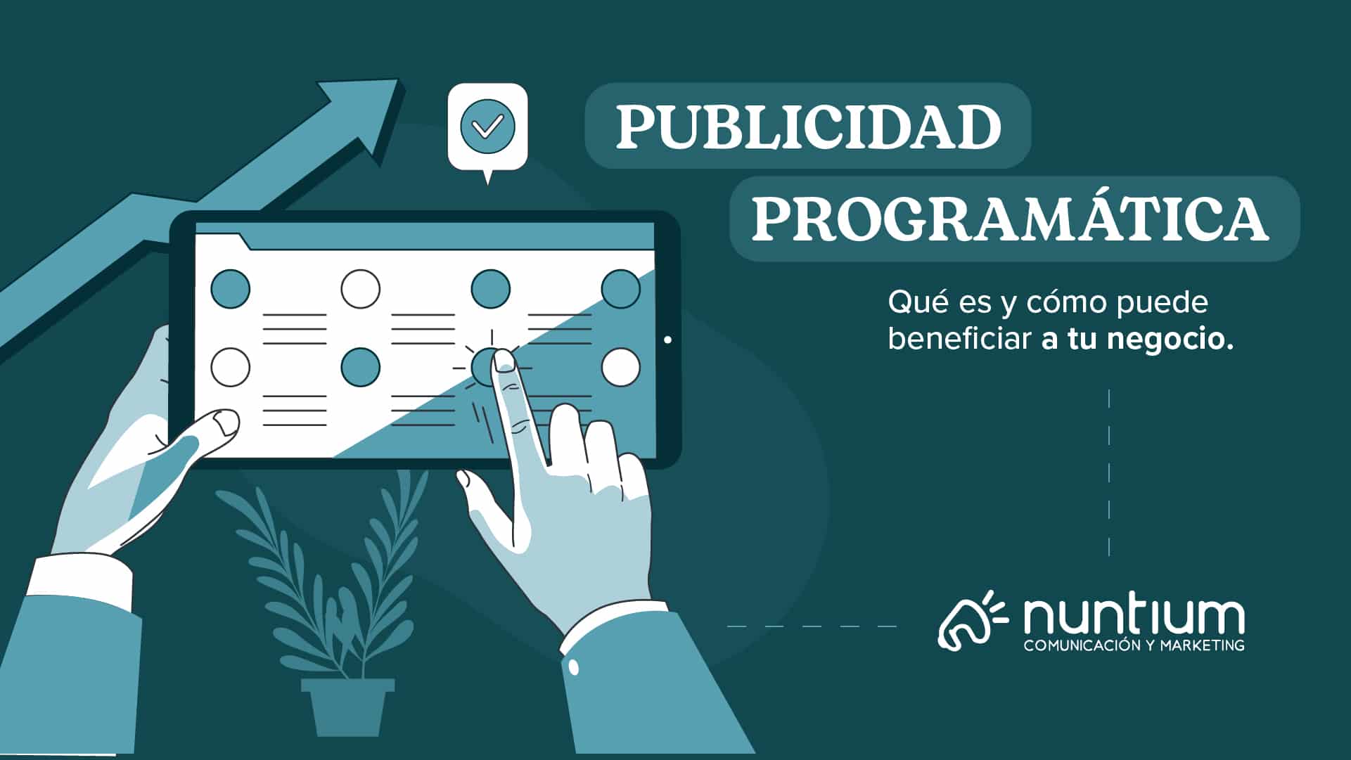Publicidad Programatica